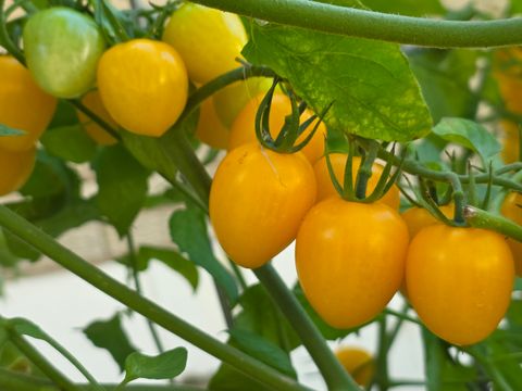 Tiny photo for 88 Gromer Road, Elgin, IL 60120 (MLS # 12622673)