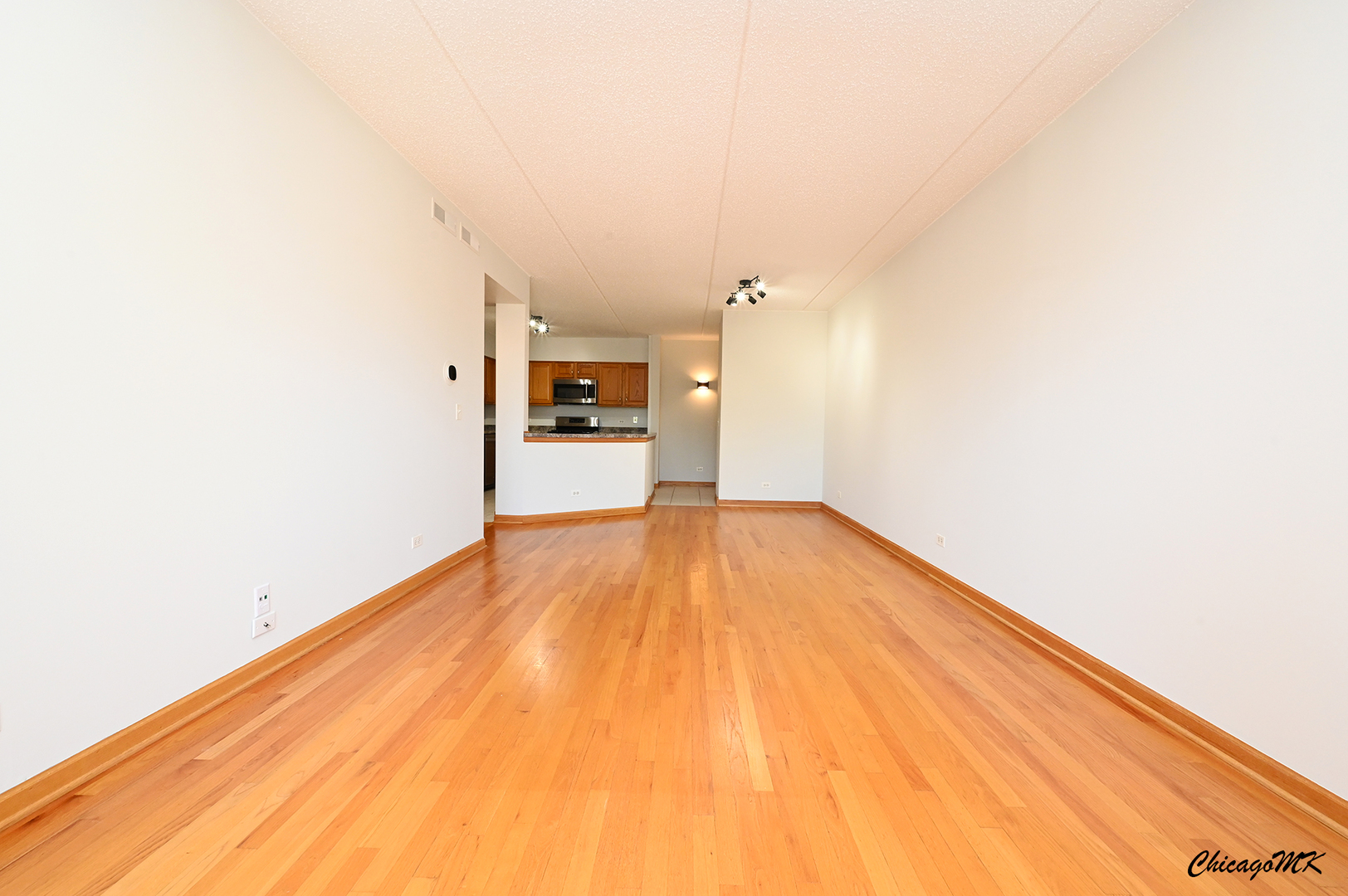 2919 N Harlem Avenue 411