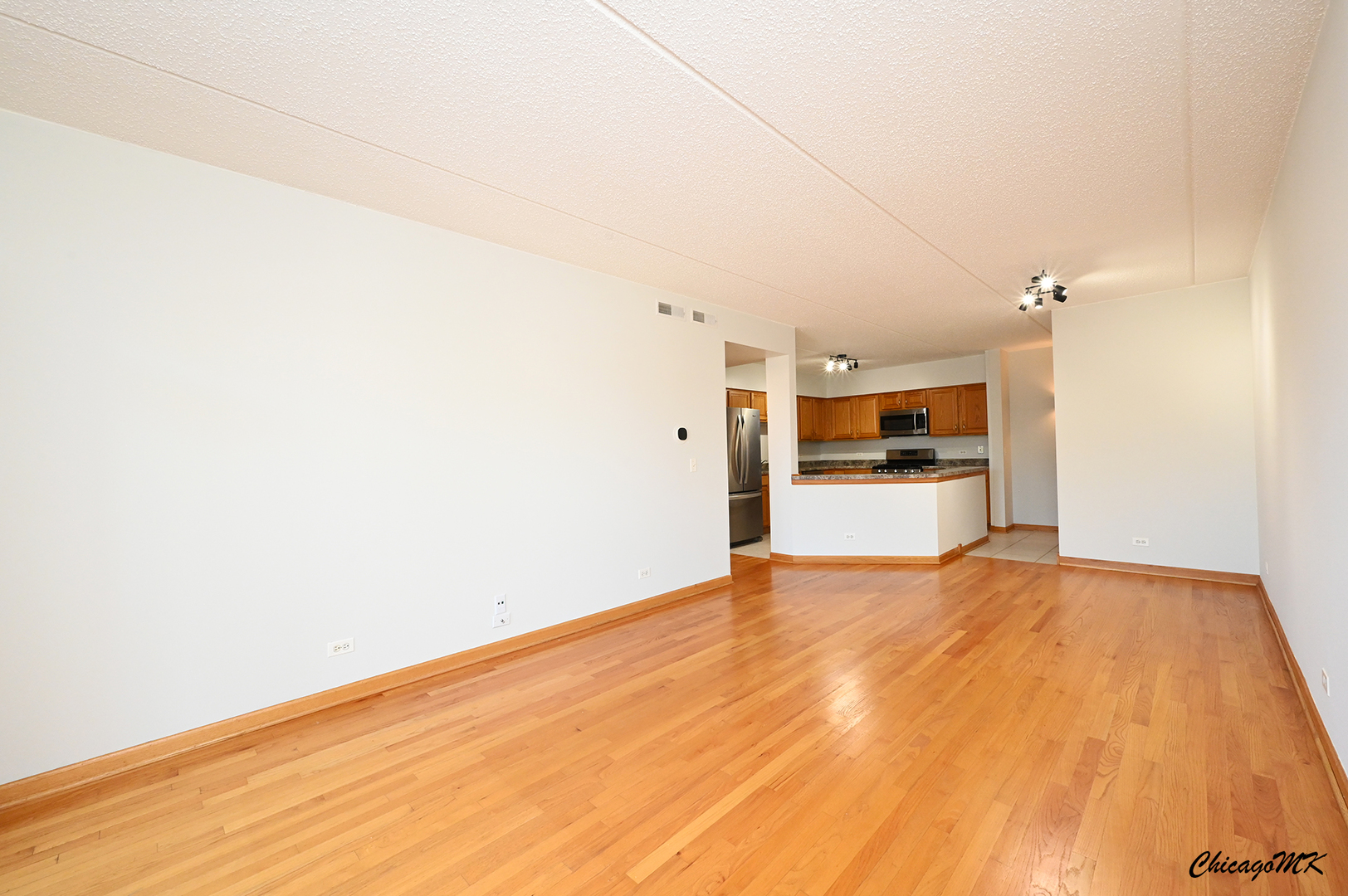 2919 N Harlem Avenue 411