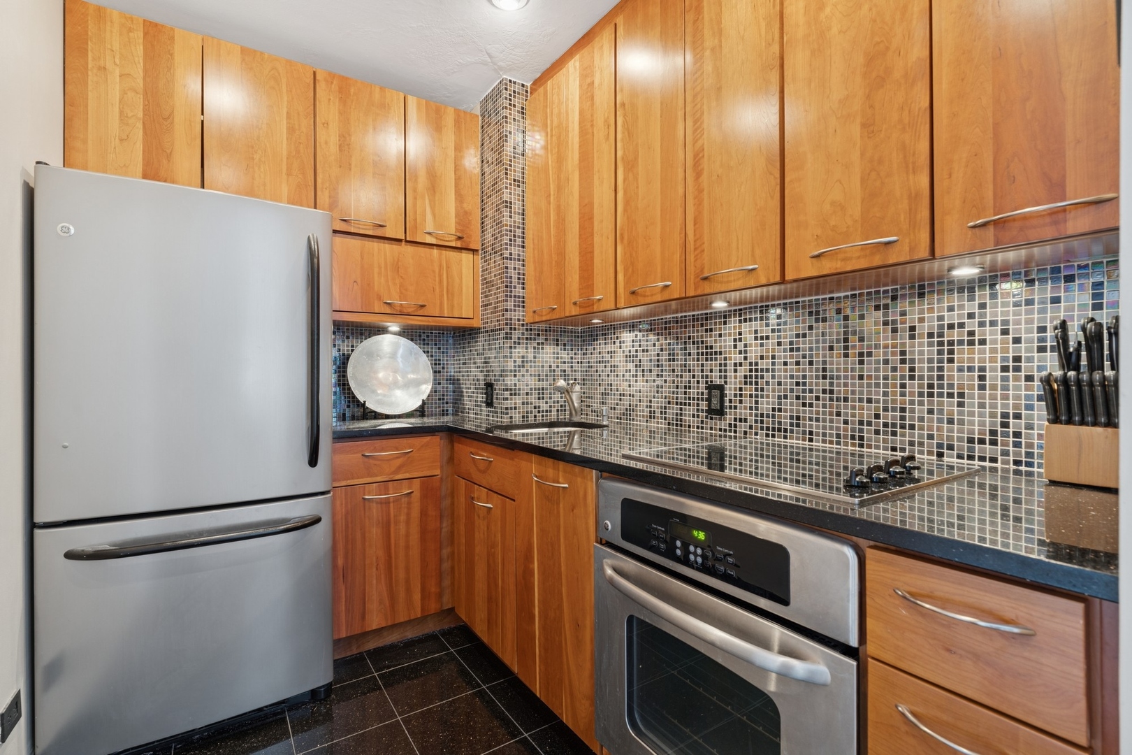 880 N Lake Shore Drive 11D