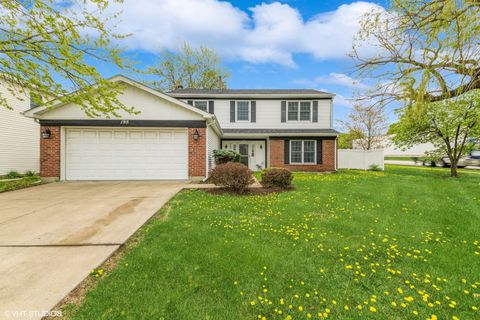 195 Mill Pond Drive Glendale Heights IL 60139