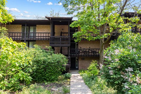 5515 Lakeside Drive 1D Lisle IL 60532