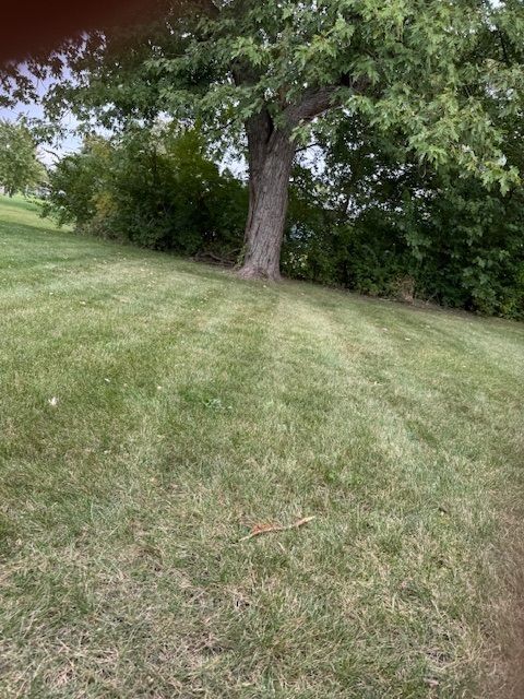 Tiny photo for 805 Regent Street, New Lenox, IL 60451 (MLS # 12498673)