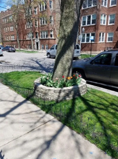 Chicago, Illinois 60660, United States, 2 Bedrooms Bedrooms, ,1 BathroomBathrooms,Residential,Active,201676