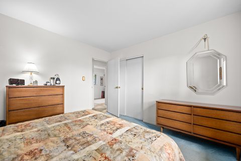 Tiny photo for 132 N Ashbury Avenue, Bolingbrook, IL 60440 (MLS # 12450742)
