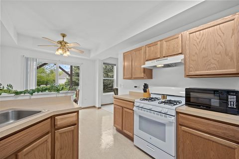 Tiny photo for 24850 W Franklin Lane, Plainfield, IL 60585 (MLS # 12630007)