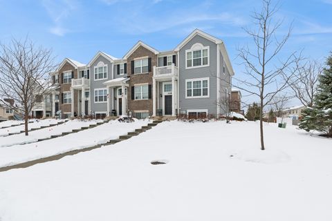 308 Niagara Drive Volo IL 60073