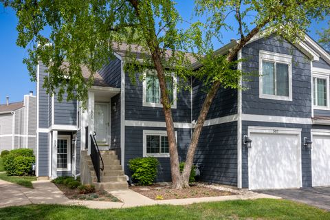507 Mallard Court 507 Schaumburg IL 60193