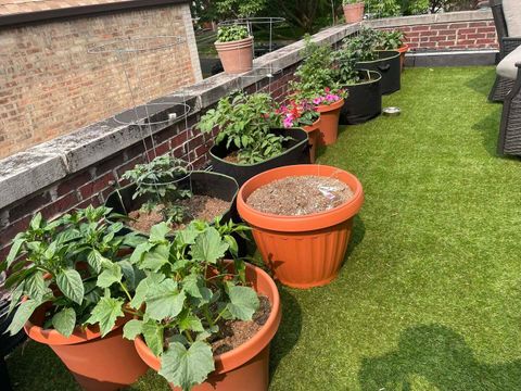 Tiny photo for 9926 S Campbell Avenue, Chicago, IL 60655 (MLS # 12569328)