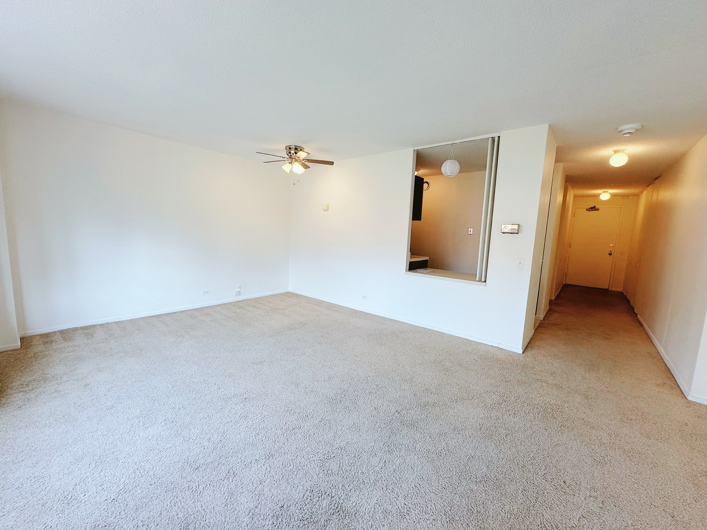 899 S PLYMOUTH Court 501