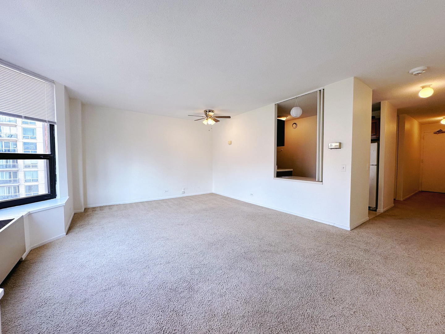 899 S PLYMOUTH Court 501