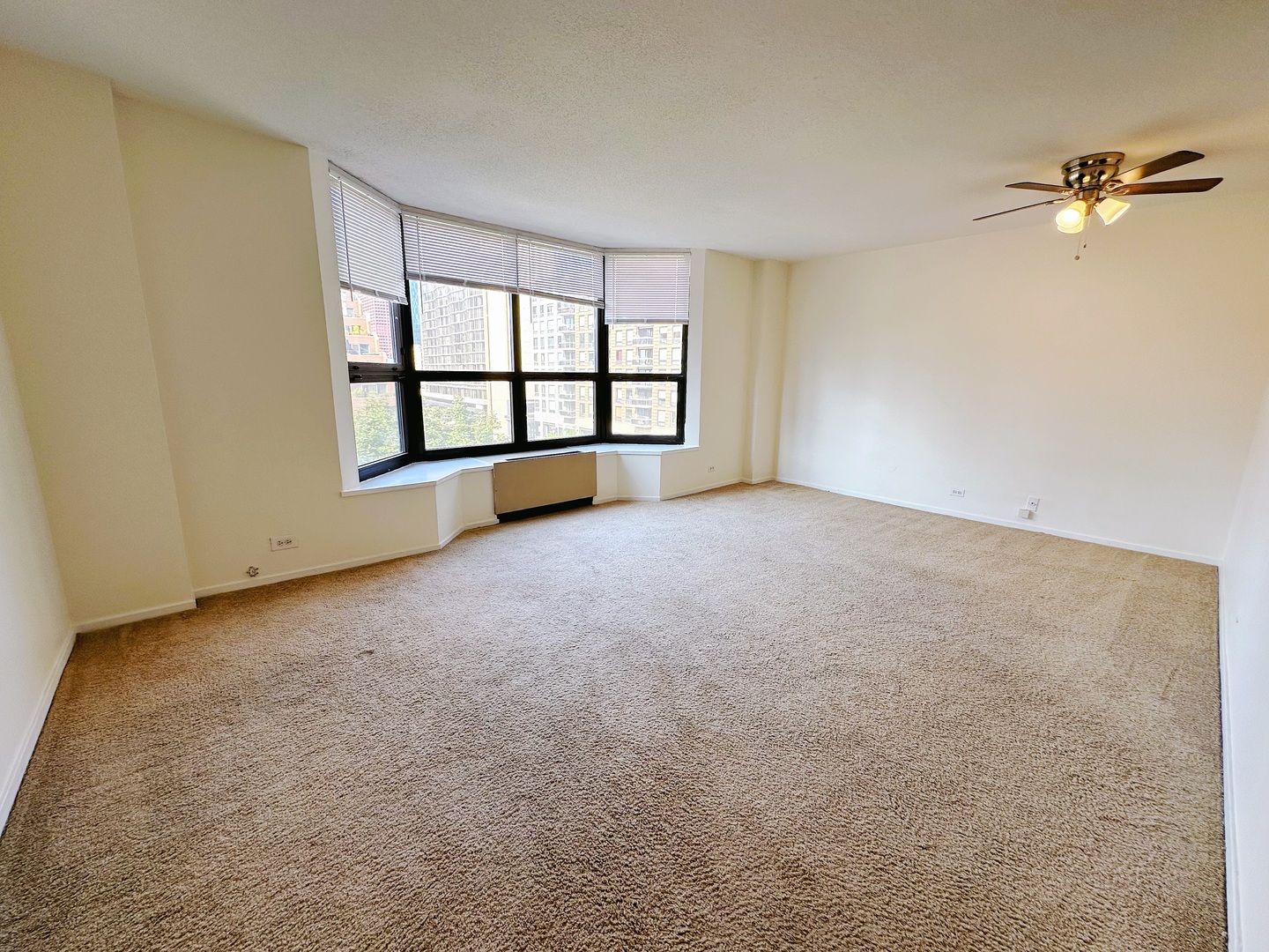 899 S PLYMOUTH Court 501