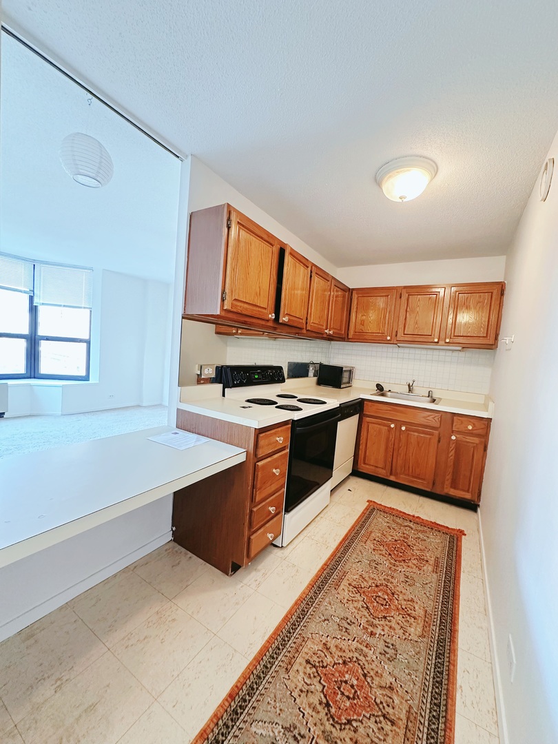 899 S PLYMOUTH Court 501