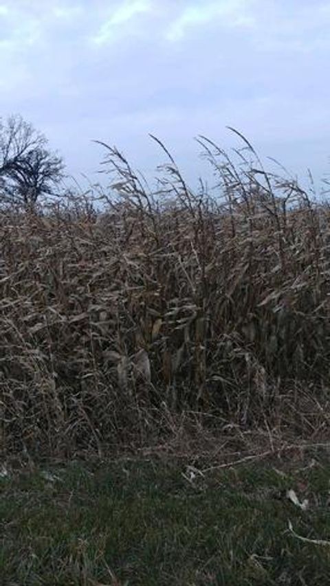 000 E 29th Road Sandwich IL 60548