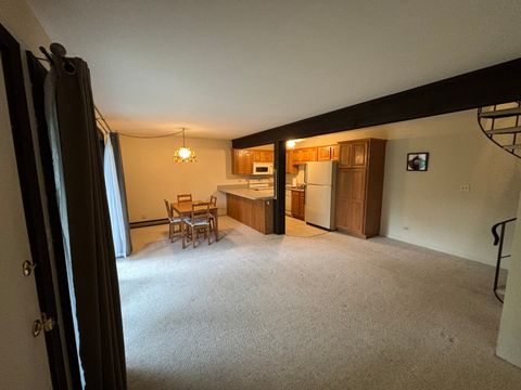 Tiny photo for 59 Vail Colony Street #3, Fox Lake, IL 60020 (MLS # 12379787)