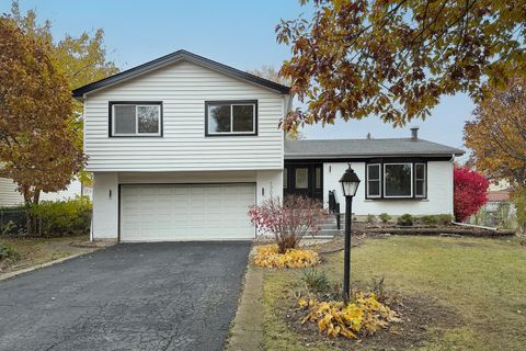 1703 N Burning Bush Lane Mount Prospect IL 60056