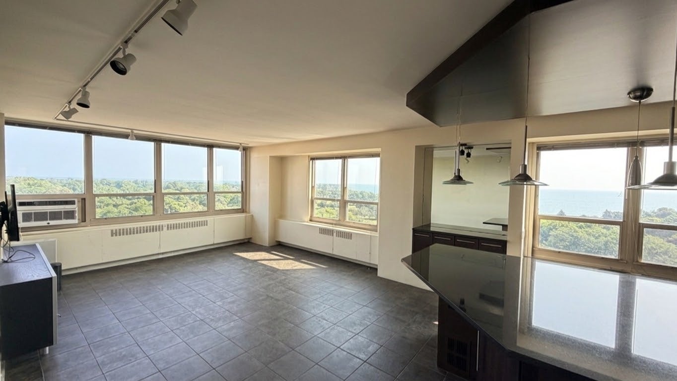 3950 N Lake Shore Drive 1100A