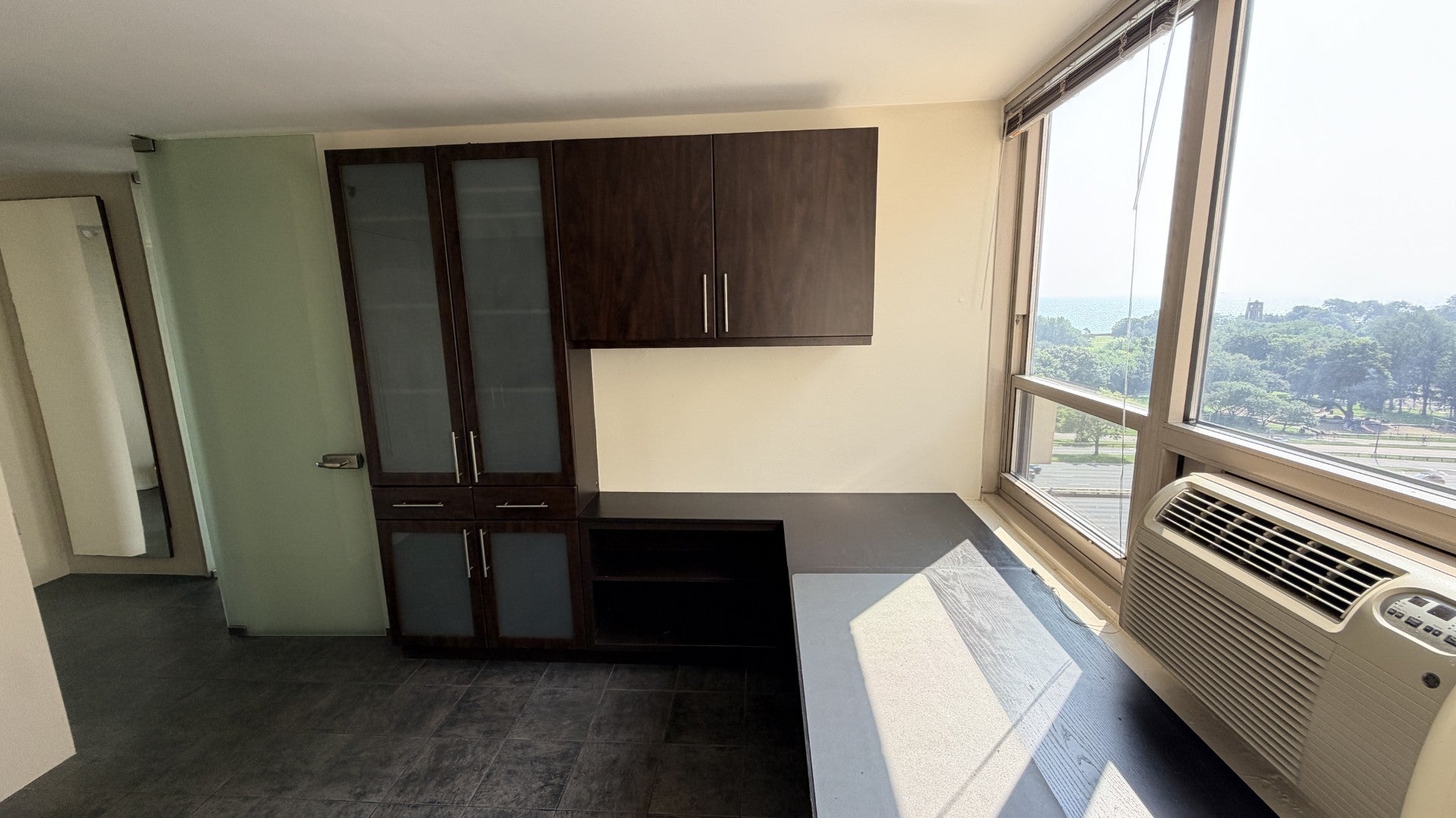 3950 N Lake Shore Drive 1100A