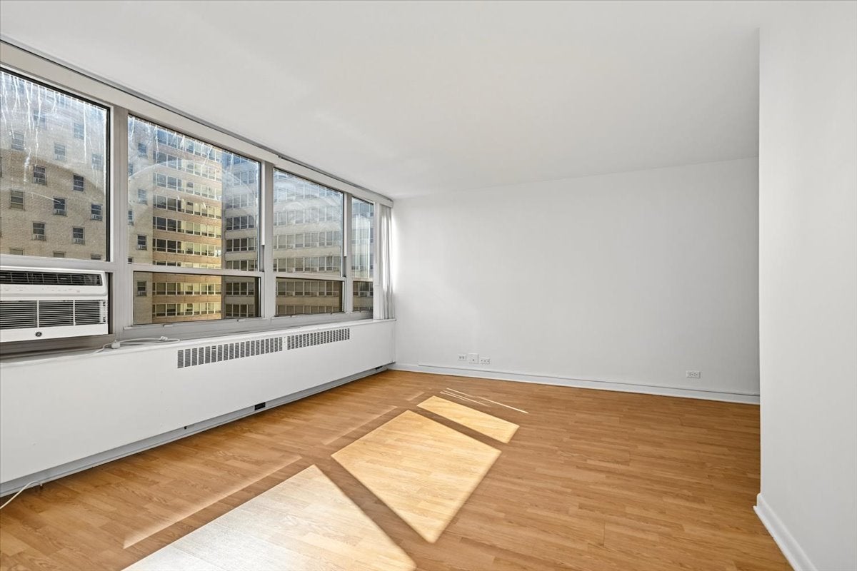 3950 N Lake Shore Drive 703