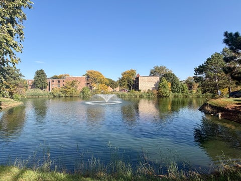 Tiny photo for 5600 N Astor Lane #116, Rolling Meadows, IL 60008 (MLS # 12785552)