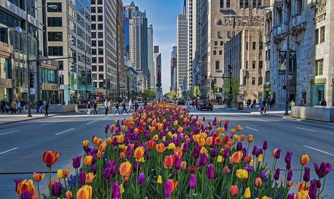 Tiny photo for 161 E CHICAGO Avenue #45FG, Chicago, IL 60611 (MLS # 12621590)