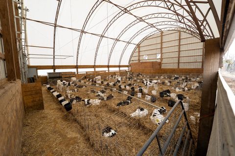 Tiny photo for 3651 N Brookeville Road, Forreston, IL 61030 (MLS # 12587599)