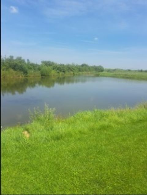 Tiny photo for 6704 Bridle Path Drive, Matteson, IL 60443 (MLS # 12535422)