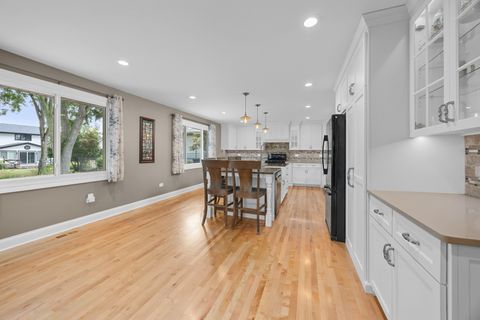 Tiny photo for 14561 S APPALOOSA Lane, Homer Glen, IL 60491 (MLS # 12420116)