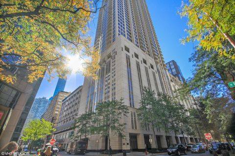 55 E ERIE Street 3202 Chicago IL 60611