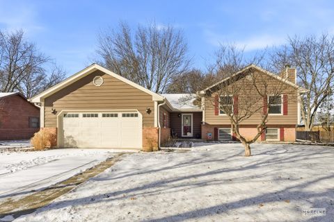 Photo of 1107 S Wells Street, Sandwich, IL 60548 (MLS # 12556827)