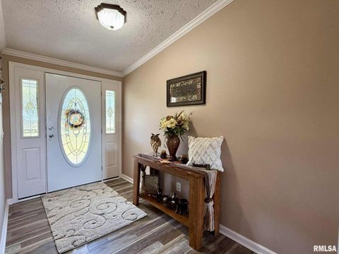 Tiny photo for 20 Xanders Lane, Golconda, IL 62938 (MLS # EB454285)