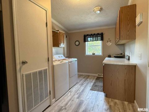 Tiny photo for 20 Xanders Lane, Golconda, IL 62938 (MLS # EB454285)