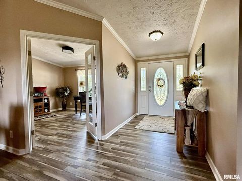 Tiny photo for 20 Xanders Lane, Golconda, IL 62938 (MLS # EB454285)