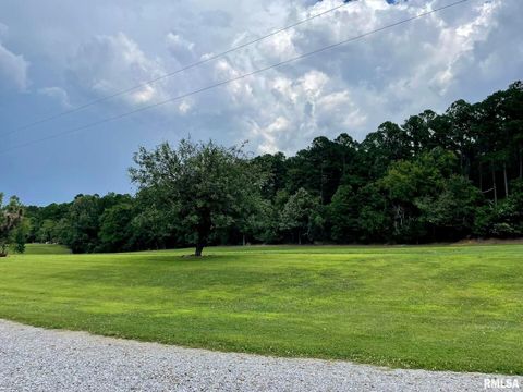 Tiny photo for 20 Xanders Lane, Golconda, IL 62938 (MLS # EB454285)