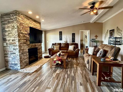 Tiny photo for 20 Xanders Lane, Golconda, IL 62938 (MLS # EB454285)