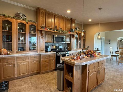 Tiny photo for 20 Xanders Lane, Golconda, IL 62938 (MLS # EB454285)