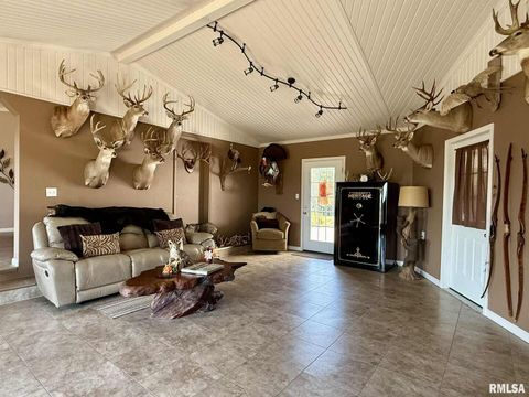 Tiny photo for 20 Xanders Lane, Golconda, IL 62938 (MLS # EB454285)