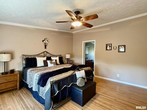 Tiny photo for 20 Xanders Lane, Golconda, IL 62938 (MLS # EB454285)