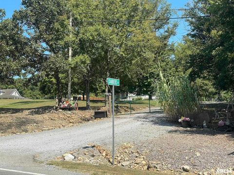 Tiny photo for 20 Xanders Lane, Golconda, IL 62938 (MLS # EB454285)