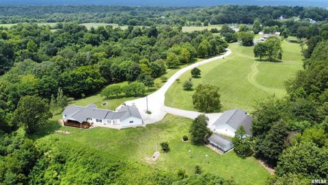 Tiny photo for 20 Xanders Lane, Golconda, IL 62938 (MLS # EB454285)