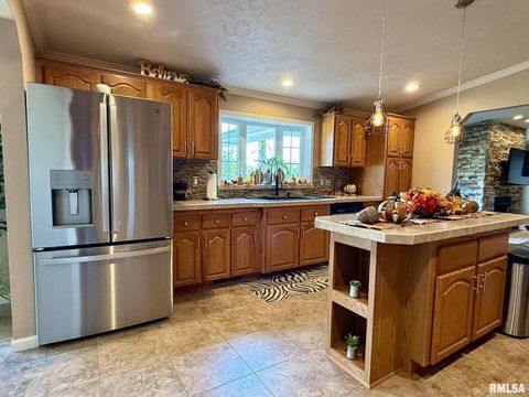 Tiny photo for 20 Xanders Lane, Golconda, IL 62938 (MLS # EB454285)