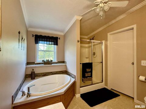 Tiny photo for 20 Xanders Lane, Golconda, IL 62938 (MLS # EB454285)