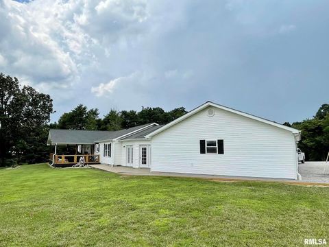 Tiny photo for 20 Xanders Lane, Golconda, IL 62938 (MLS # EB454285)