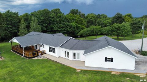 Tiny photo for 20 Xanders Lane, Golconda, IL 62938 (MLS # EB454285)