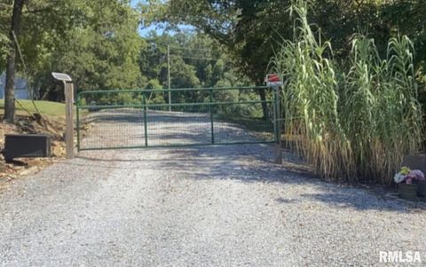 Tiny photo for 20 Xanders Lane, Golconda, IL 62938 (MLS # EB454285)