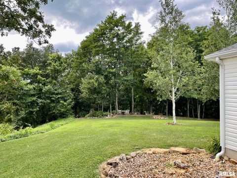 Tiny photo for 20 Xanders Lane, Golconda, IL 62938 (MLS # EB454285)