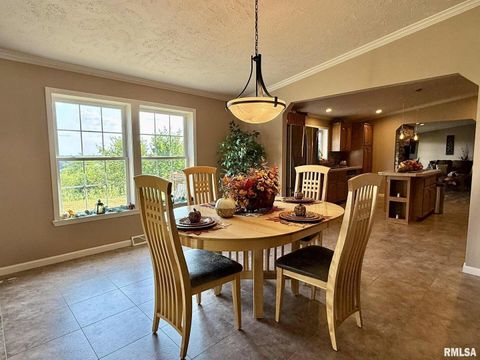 Tiny photo for 20 Xanders Lane, Golconda, IL 62938 (MLS # EB454285)