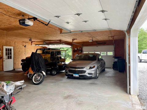 Tiny photo for 20 Xanders Lane, Golconda, IL 62938 (MLS # EB454285)