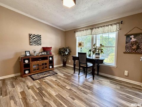 Tiny photo for 20 Xanders Lane, Golconda, IL 62938 (MLS # EB454285)