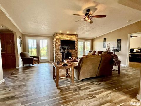 Tiny photo for 20 Xanders Lane, Golconda, IL 62938 (MLS # EB454285)